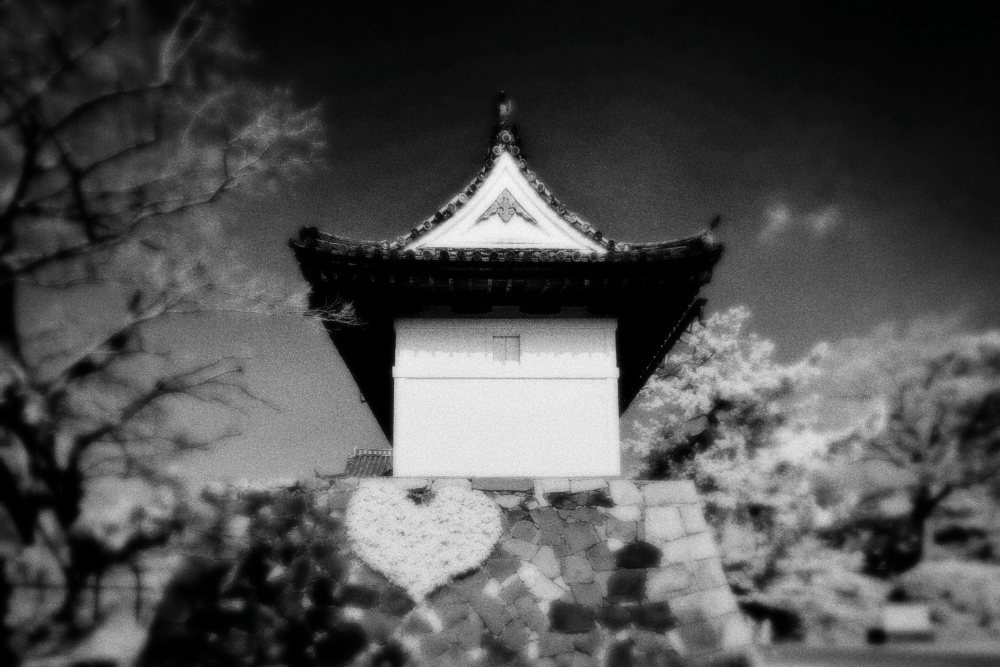 f0178635_21412544.jpg