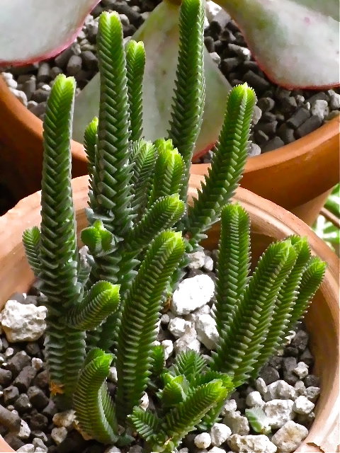 b0027736_22374220.jpg