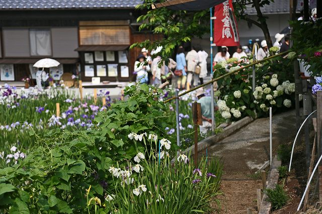 a0242438_19134042.jpg