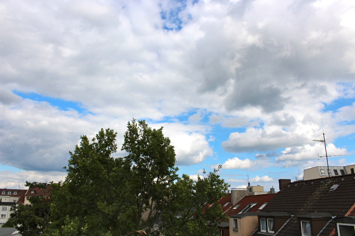 c0153740_22131746.jpg