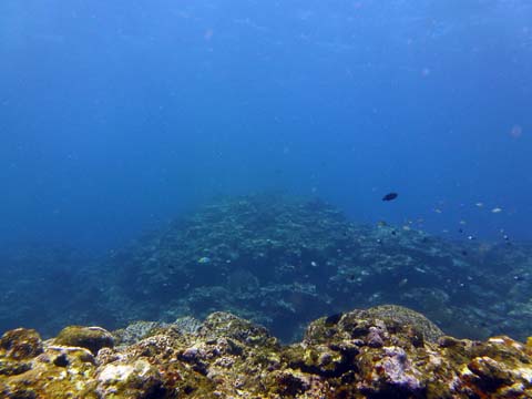 f0014842_20245042.jpg