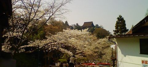 a0057057_18525621.jpg