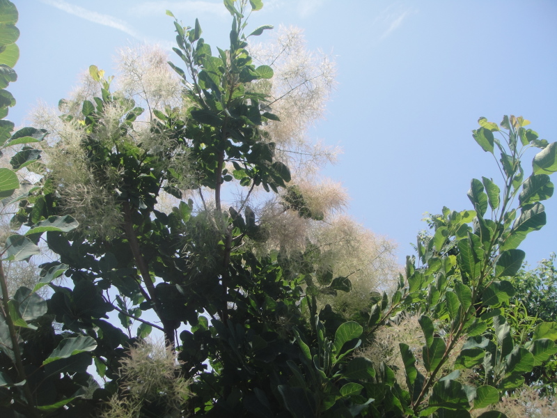 c0108460_21401467.jpg