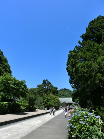 e0045768_22285673.jpg
