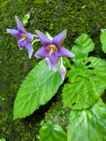 e0045768_22294479.jpg