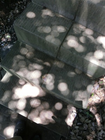 e0045768_22371656.jpg