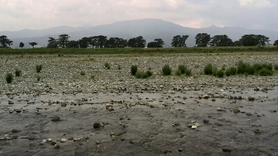 c0238371_11205578.jpg
