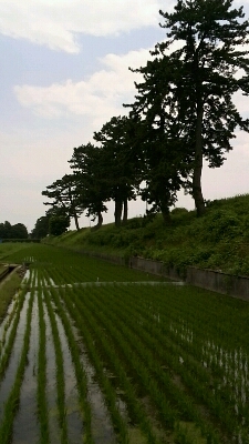 c0238371_14221670.jpg