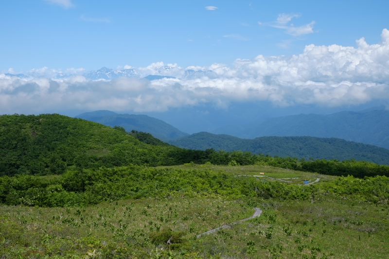 e0015174_17194145.jpg