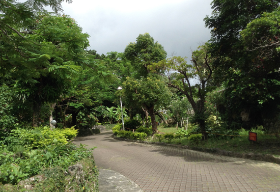 e0192175_18181865.jpg