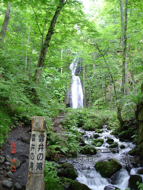 d0165378_1926090.jpg