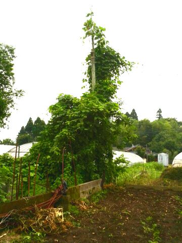 b0304983_22080124.jpg