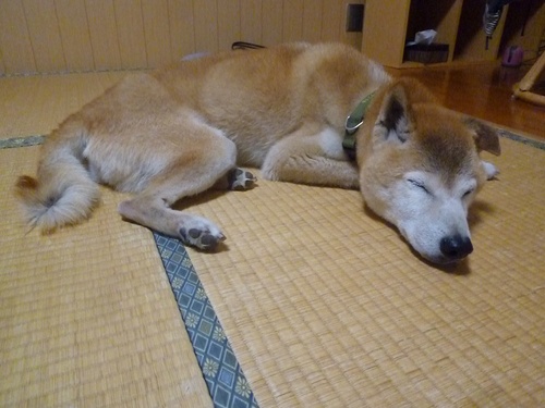 c0123890_20411059.jpg