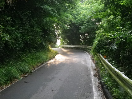 e0048994_12512765.jpg