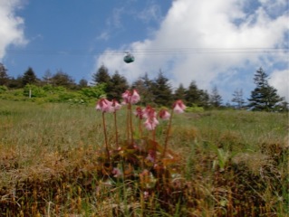 c0151898_2034818.jpg