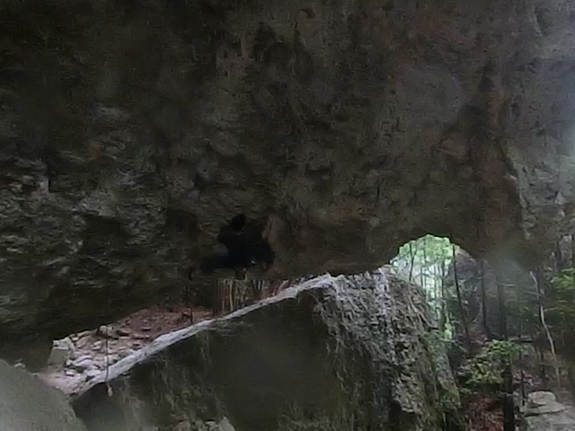 d0151699_21324543.jpg