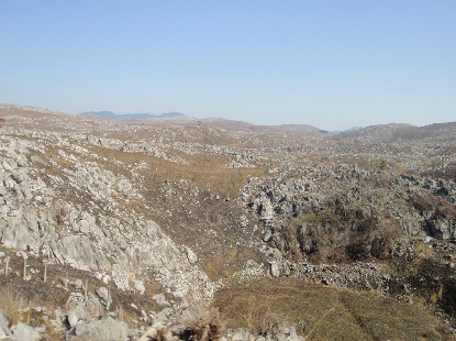 e0077899_19181223.jpg