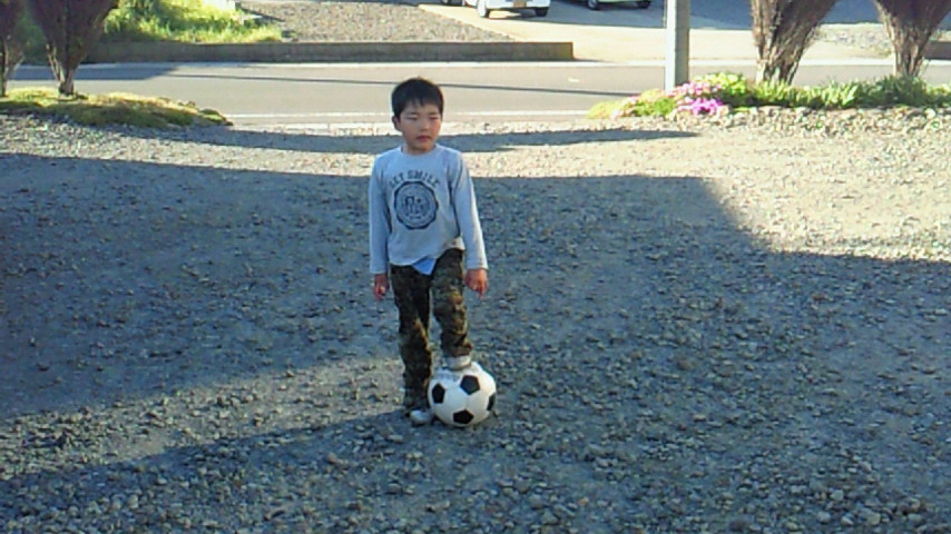d0149105_17332179.jpg