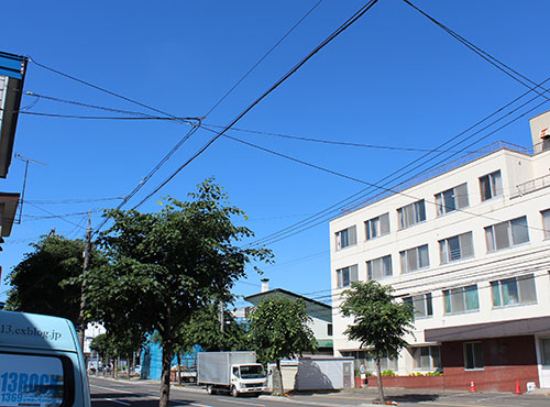 a0139912_8274790.jpg