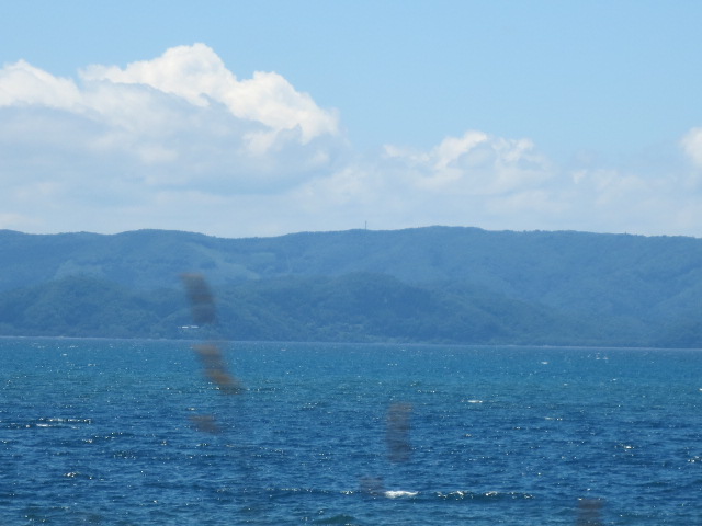 f0248616_10515850.jpg