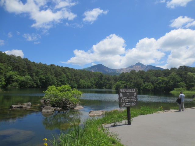f0248616_11125495.jpg