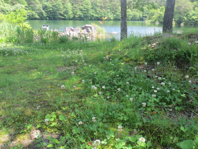 f0248616_11204495.jpg