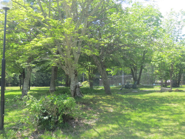 f0248616_11213370.jpg