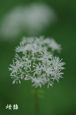 f0212217_823399.jpg