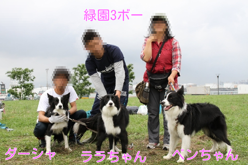 a0232619_15562281.png