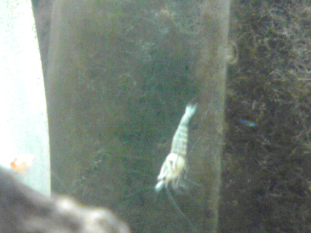 a0291521_8263343.jpg