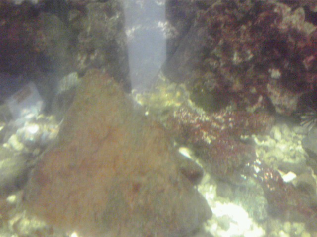 a0291521_8494514.jpg