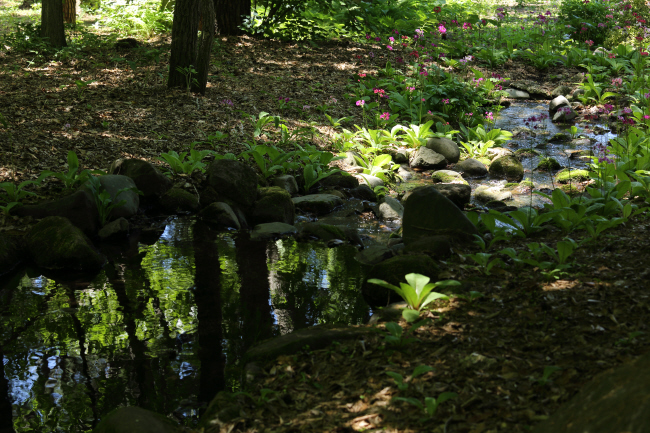 f0017530_21333688.jpg