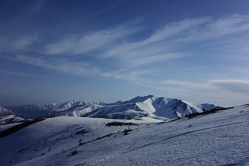 c0313231_12393731.jpg