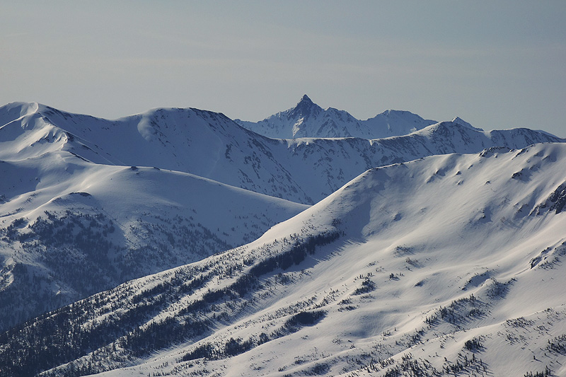 c0313231_12415251.jpg