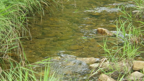 c0300035_12535446.jpg