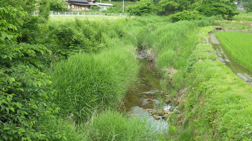 c0300035_1253958.jpg