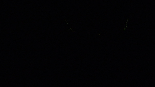 c0300035_13175256.jpg