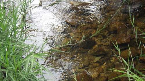 c0300035_1333731.jpg
