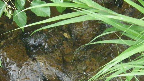 c0300035_1344054.jpg