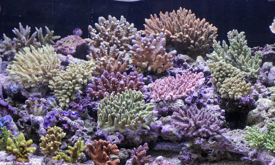 d0221436_2135465.jpg