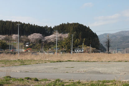f0147037_14441548.jpg
