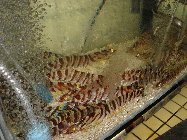 f0208737_8292042.jpg