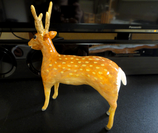 a0056140_15324678.gif