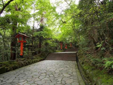 b0199742_6245617.jpg
