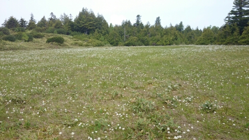 b0148050_18413863.jpg
