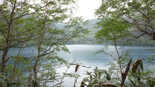 b0148050_19262823.jpg