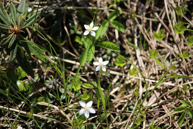 b0250154_6443611.jpg