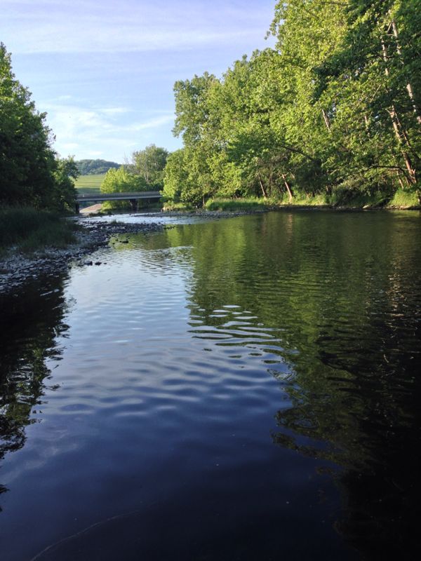 c0325354_1114987.jpg