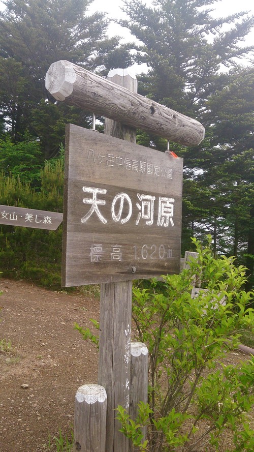b0178557_235819.jpg