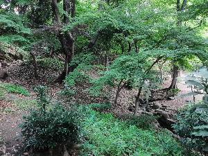 c0055363_1521418.jpg